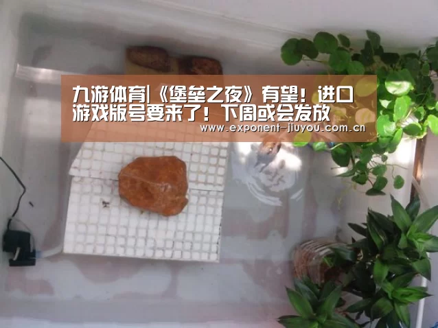 九游体育