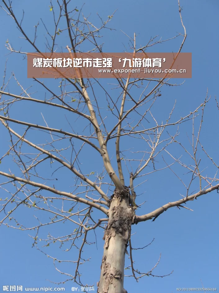煤炭板块逆市走强‘九游体育’