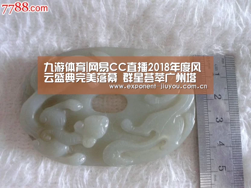 九游体育|网易CC直播2018年度风云盛典完美落幕 群星荟萃广州塔(图2) 九游体育